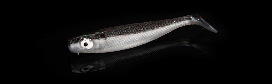 kleiner Fisch kleiner Fisch