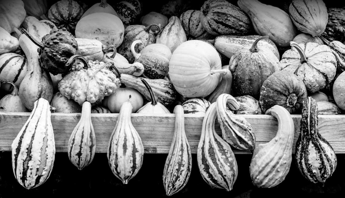 Digital ist Kundenfrundlich Gemüse auf einem Marktplatz in schwarz und weiß