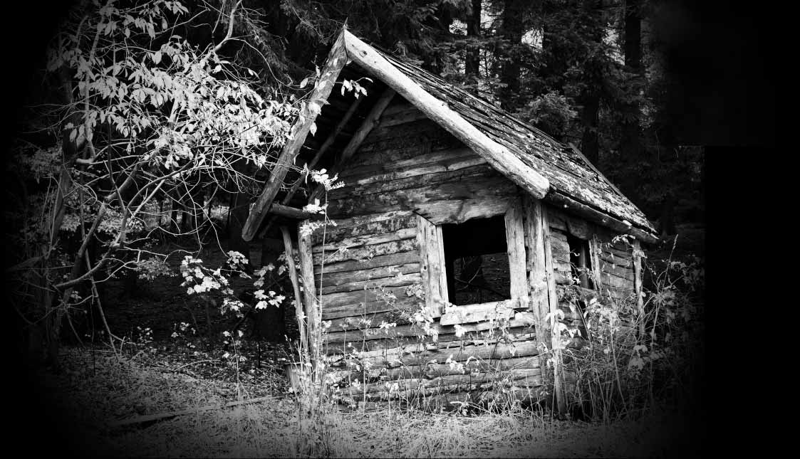 Wir sind die richtigen Architekten für Ihren Webshop Ein verfallenes Holzhaus im Wald in schwarz und weiß