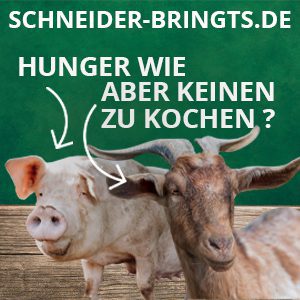 Schneider bringts | arven.io