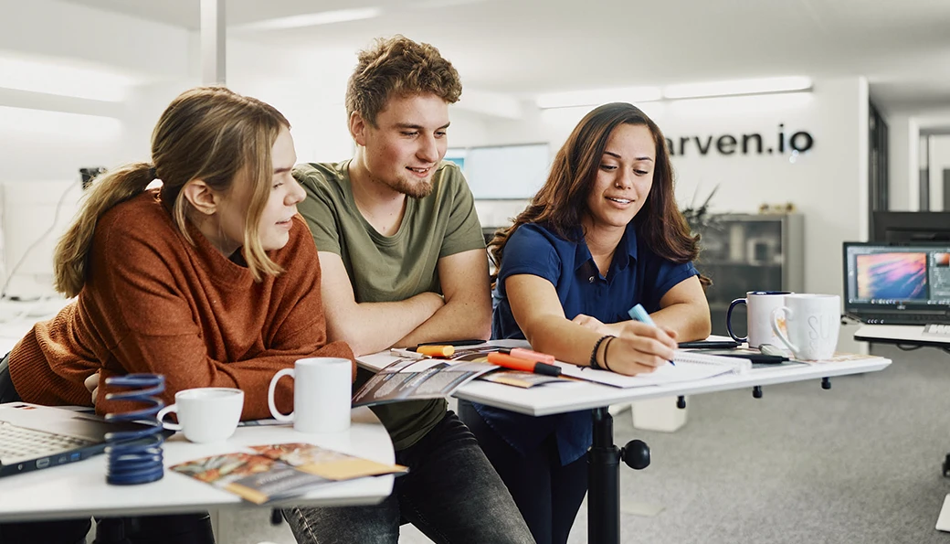 Wir unterstützen Sie bei der digitalen Markterschließung Das arven.io Team