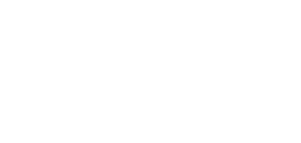 Das Logo des arven.io-Kunden WSS AKTIV BERATEN